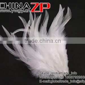 Leading Supplier CHINAZP Bulk Sale Good Quality Beautiful Bleached White Chicken Rooster Saddle Feathers thumbnail-3