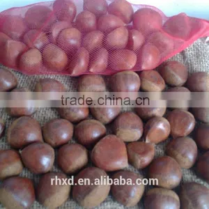 2015 Healthy Snack Roasting Chestnuts/vacuum Packed Organic Dried Peeled and Roasted Sweet Chestnuts thumbnail-5