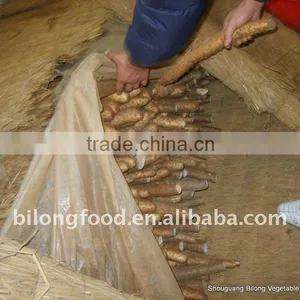 Fresh Chinese Yam From New Crop in 2016 thumbnail-3