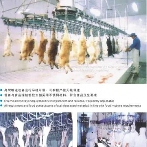 RABBIT SLAUGHTER AND ABATTOIR MACHINE thumbnail-2