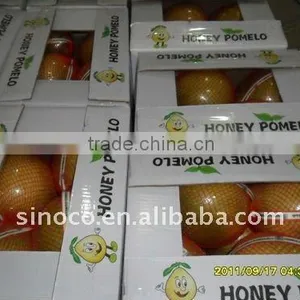 Delicious Fresh Pomelos (8/9/10/11/12) thumbnail-1
