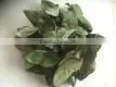 Graviola Leaves (Dried) thumbnail-1