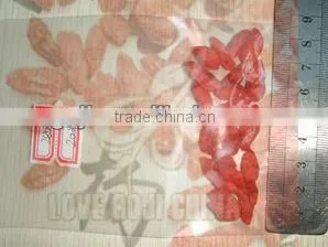 2013 New Crop GOJI BERRIES thumbnail-1