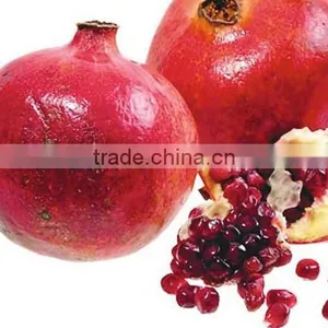 Pfrofessional Manufacturer Supply Pomegranate Extract Powder thumbnail-1