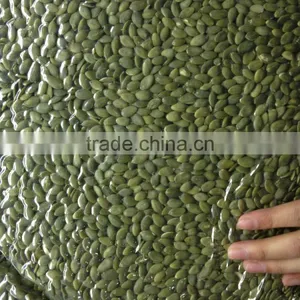 Wholesale Pumpkin Seeds Kernel Shine Skin AA thumbnail-2