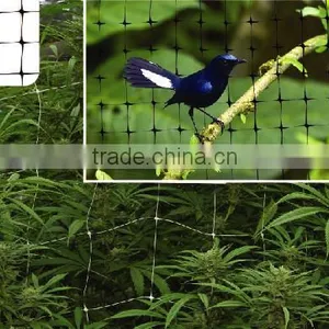 Anti Bird Plastic Mesh thumbnail-1