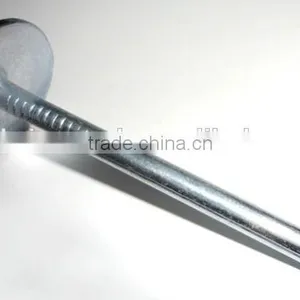 White Roofing Nail thumbnail-2