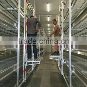 6061T5 Aluminum Extrusion Profile for Planting Frame thumbnail-4