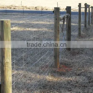 Automatic Welded Wire Mesh Knitting Machine thumbnail-2
