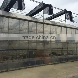 Plastic Sheet Covered Greenhouse Grow Tent With Gutter System For Agricultural Planting thumbnail-1
