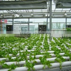 Portable Pipeline Hydroponic System thumbnail-2