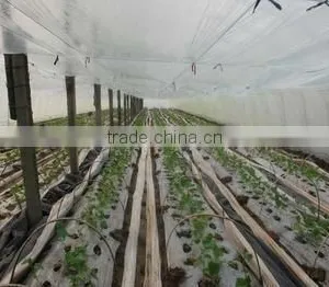 Ldpe Agriculture Greenhouse/mulch Film thumbnail-1