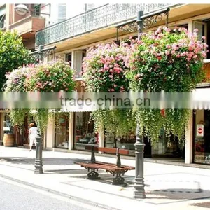 SOL 2015 New Design Plastic Hanging Baskets Pots Hanging Garden Hanging Planter thumbnail-2