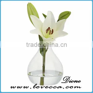 High Quality Air Plants Handblown Glass Globe Hanging Terrarium thumbnail-4
