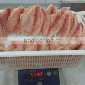Frozen Tilapia Fillet (Oreochromis Niloticus) thumbnail-1
