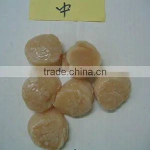 Sea Scallops Adductor thumbnail-1