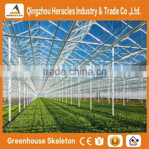 Heracles Gothic Glass Greenhouse for Strawberry thumbnail-4