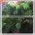 2015 Wholesale Artificial Shrubs Bonsai Tree Sale Price Artificial Pine Tree Branches thumbnail-5