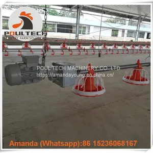 Qatar Poultry Farm & Layer Farm Equipment Broiler Floor Raising System & Chicken Deep Litter System With Automatic Drinking & Feeding Pan System in Chicken Coop thumbnail-2