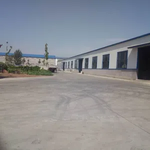 Shijiazhuang Yunchong Trading Co.,Ltd company overview - view 1 thumbnail