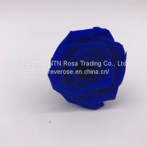 Wholesale3-4cm Elegant Real Touch Preserved Rose Flower thumbnail-3
