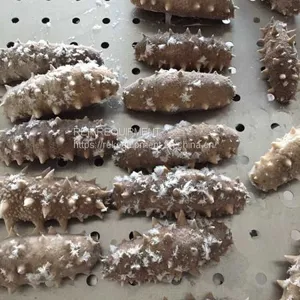 Blast Freezer For Seafood Quick Freeze Whatsapp/wechat 008613824555378 thumbnail-5