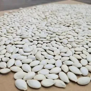 High Quality Hybrid Rootstock Seeds for Watermelon/melon Planting thumbnail-2