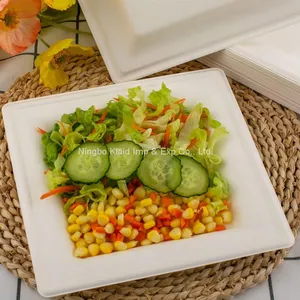 10”Hot Selling Party Restaurant Eco-Friendly Disposable Biodegradable Plates Sugarcane Bagasse Square Plates(500/ Case) thumbnail-4