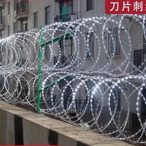Razor Wire Stainless Steel Roller Cage Anti Rust Protection Barbed Wire Barbed Wire Anti Theft Anti Climbing Barbed Wire Fence Anti Climbing Mesh thumbnail-4