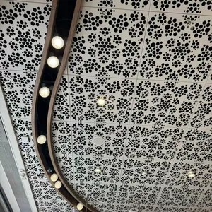 Curtain Wall Aluminum Single Plate Punching Carving Exterior Wall Fluorocarbon Paint Ceiling Decoration Manufacturer Custom Modeling thumbnail-2