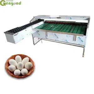 Egg Grading Machine Automatic Egg Sorting Machine Chicken Egg Sorter for Homeuse thumbnail-3