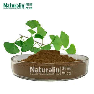 Ginkgo Biloba Extract thumbnail-1
