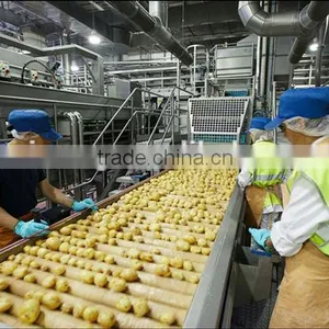 Multinational New Automatic Compound Potato Chips Processing Line thumbnail-1