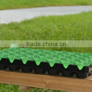 Plastic Tray With Mini Pot thumbnail-1