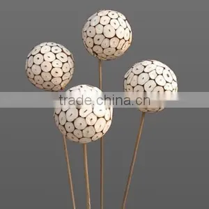 Sola Log Ball thumbnail-1