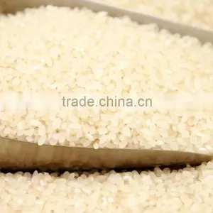 Instant /Nutritional /Artificial Rice Making Machine/Production Line thumbnail-3