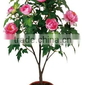 Unique Artificial Flower Tree thumbnail-1