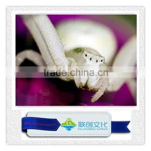 Animatronic Insects, Fiberglass Insects, Simulation Insects thumbnail-1