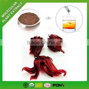 Herbal Supplement New Products High Quality Roselle Extract thumbnail-1