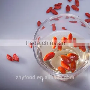Native Ningxia Dried Goji Berry 500 thumbnail-4
