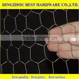 Galvanized Chicken Wire Netting thumbnail-4