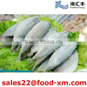 2016 New Arrival Sea Frozen Whole Round Sardine Fish thumbnail-1