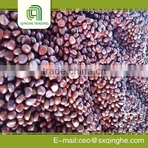 Fresh Chestnut Insell for Wholesales thumbnail-4