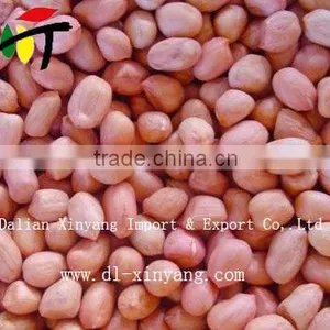 Wholesale Crispy Roasted Peanuts in Red Skin thumbnail-2