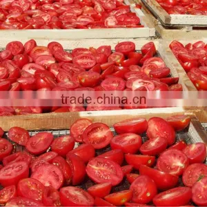 Hot Selling Sun Dried Tomotoes for Buyer thumbnail-5