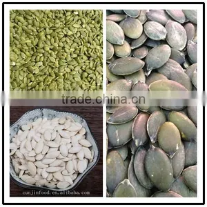 Pumpkin Seeds thumbnail-1