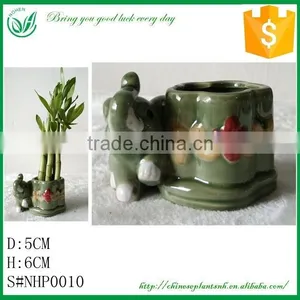 Lucky Bamboo Animal Shape Flower Pot thumbnail-1