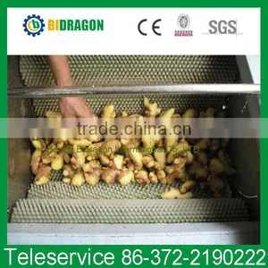 Fresh Ginger Washing and Peeling Machine thumbnail-1
