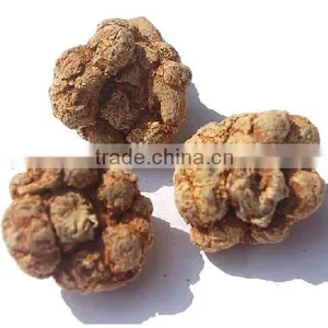 Factory Supply Best Quality Herb Natural Panax Notoginseng Root Extract thumbnail-1