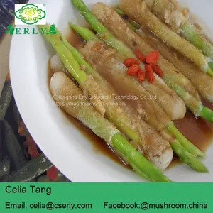 Wild Growing Mushroom Bamboo Fungus Tasty Dictyophora thumbnail-4